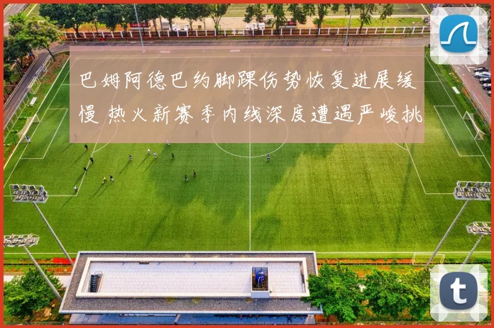 巴姆阿德巴约脚踝伤势恢复进展缓慢 热火新赛季内线深度遭遇严峻挑战