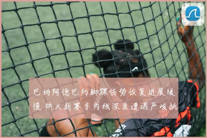 巴姆阿德巴约脚踝伤势恢复进展缓慢 热火新赛季内线深度遭遇严峻挑战