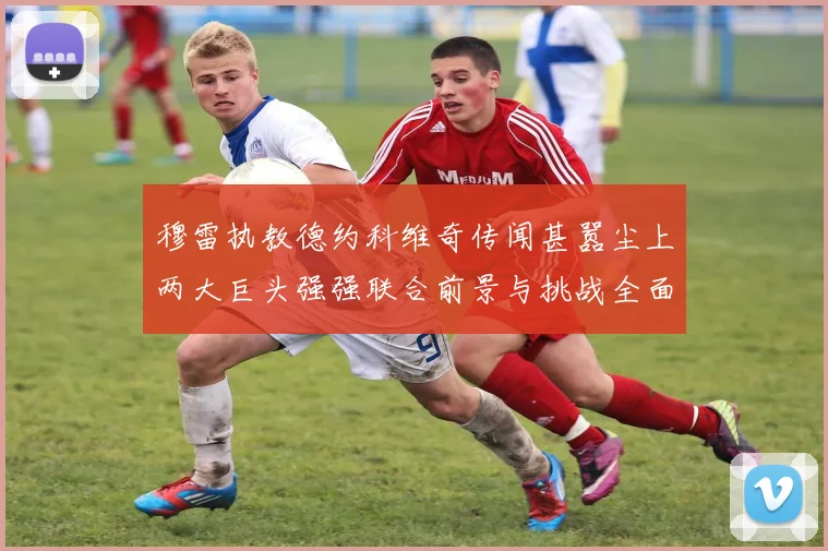 穆雷执教德约科维奇传闻甚嚣尘上两大巨头强强联合前景与挑战全面分析