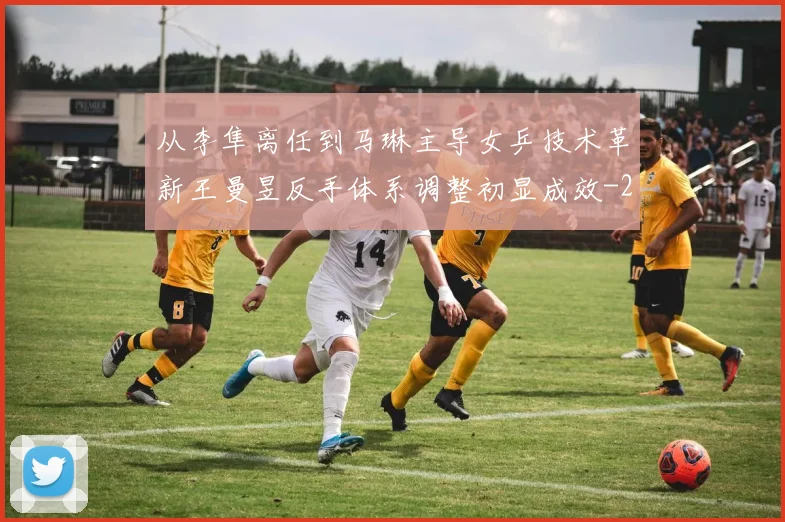 从李隼离任到马琳主导女乒技术革新王曼昱反手体系调整初显成效