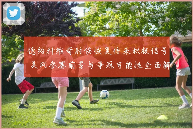 德约科维奇肘伤恢复传来积极信号 美网参赛前景与争冠可能性全面解析