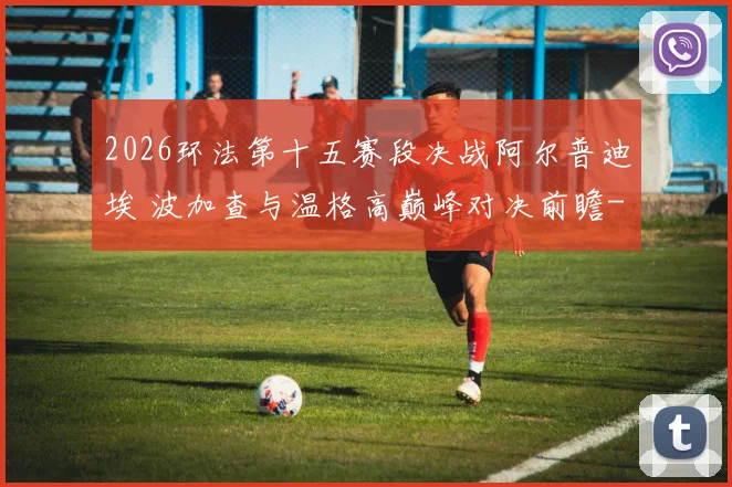 2026环法第十五赛段决战阿尔普迪埃 波加查与温格高巅峰对决前瞻