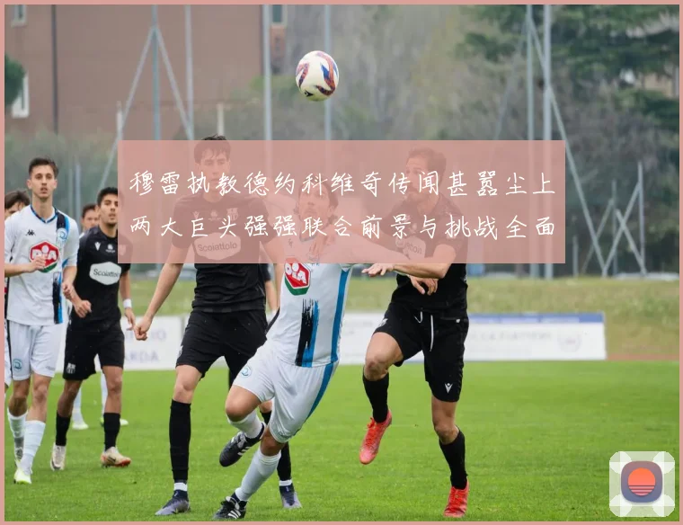 穆雷执教德约科维奇传闻甚嚣尘上两大巨头强强联合前景与挑战全面分析